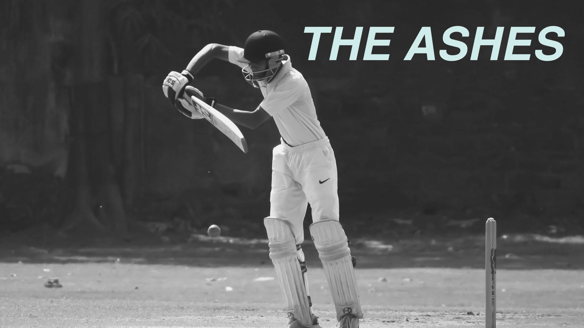 Harbord Diggers | Community groups Northern Beaches | Charities Sydney | Charities Northern Beaches - Sports Lounge & SendIt! - illustration d514b214-754e-41d9-94e4-1e44e539141c