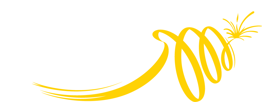 Harbord Diggers | Community groups Northern Beaches | Charities Sydney | Charities Northern Beaches - Home Page New - illustration 70fd85a0-a01c-46f1-8b29-ecdf79434284